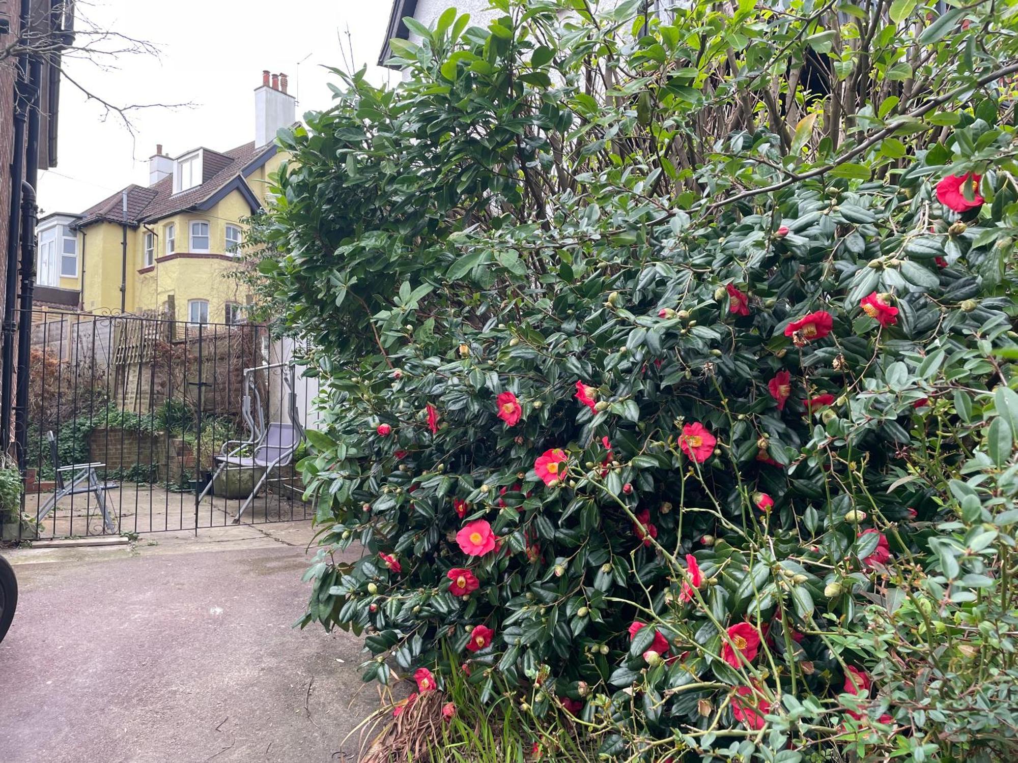 Livadia House At St Leonards On Sea Bed & Breakfast Exterior photo
